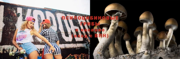 мяу мяу мука Ахтубинск