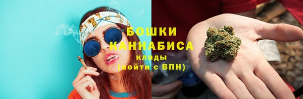 гашик Бежецк