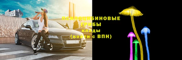 ПСИЛОЦИБИНОВЫЕ ГРИБЫ Анива