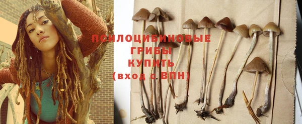 гашик Бежецк