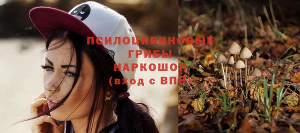 jwh Белая Холуница