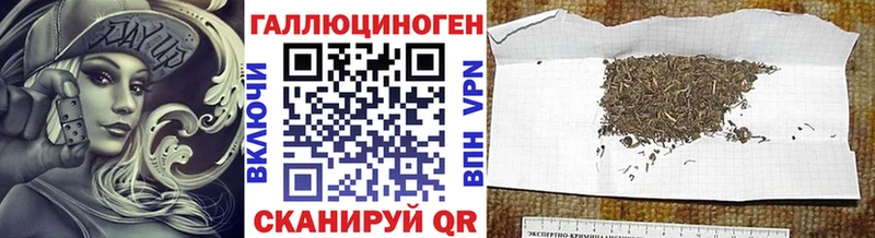 Псилоцибиновые грибы Cubensis  ссылка на мегу   Ельня 